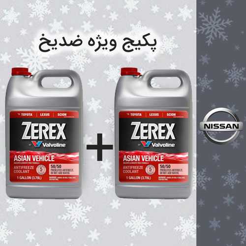 پکیج ویژه ضدیخ 8 لیتری نیسان (منفی 37 درجه)