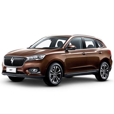 بورگوارد BX7