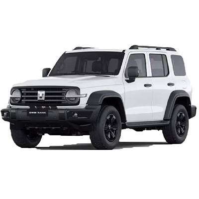 GWM تانک 300